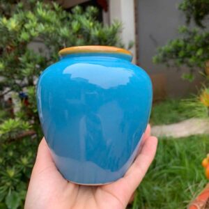 z6070785858526_33bd44971f76a89ea22997a9d18bca8e