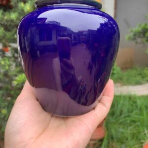 z6070785881825_d55a1e249aaf1cd10fcc80cf357c5bfc